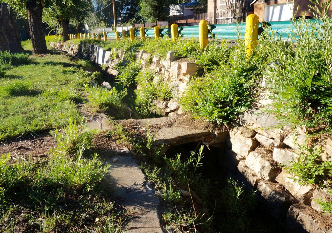 Top or Best  Email Campaign Design Agencies and Companies in Las Vegas, New Mexico