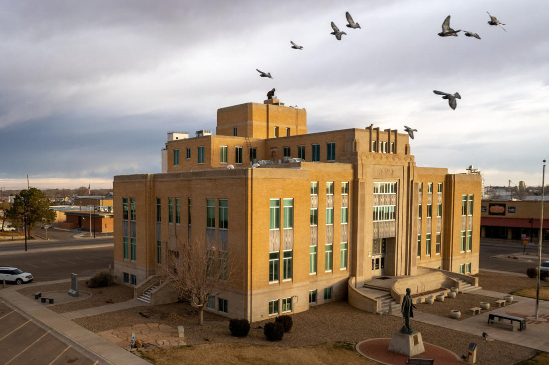 Top or Best Email Campaign Design Agencies and Companies in Portales, New Mexico