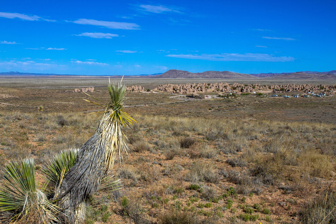 Top or Best Postcard Design Agencies and Companies in Deming, New Mexico