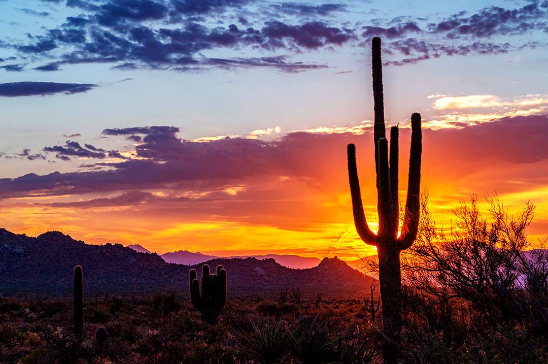 Top or Best Photography and Photo Editing Agencies and Companies in Phoenix, Arizona