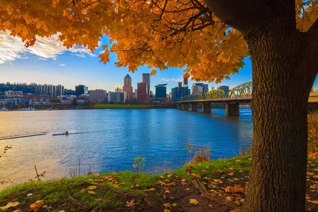 Top or Best Influencer Brand Partnership Agencies and Companies in Portland, OR