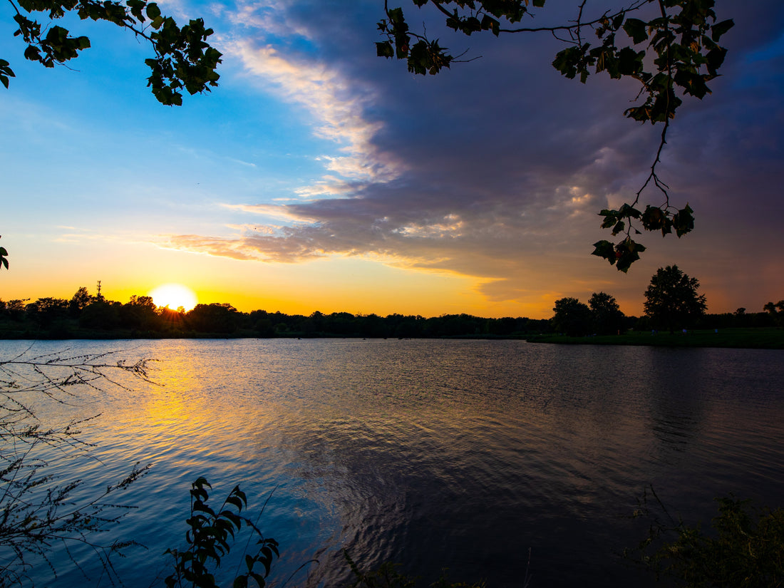 Top or Best Business Card Design Agencies and Companies in Lenexa, Kansas