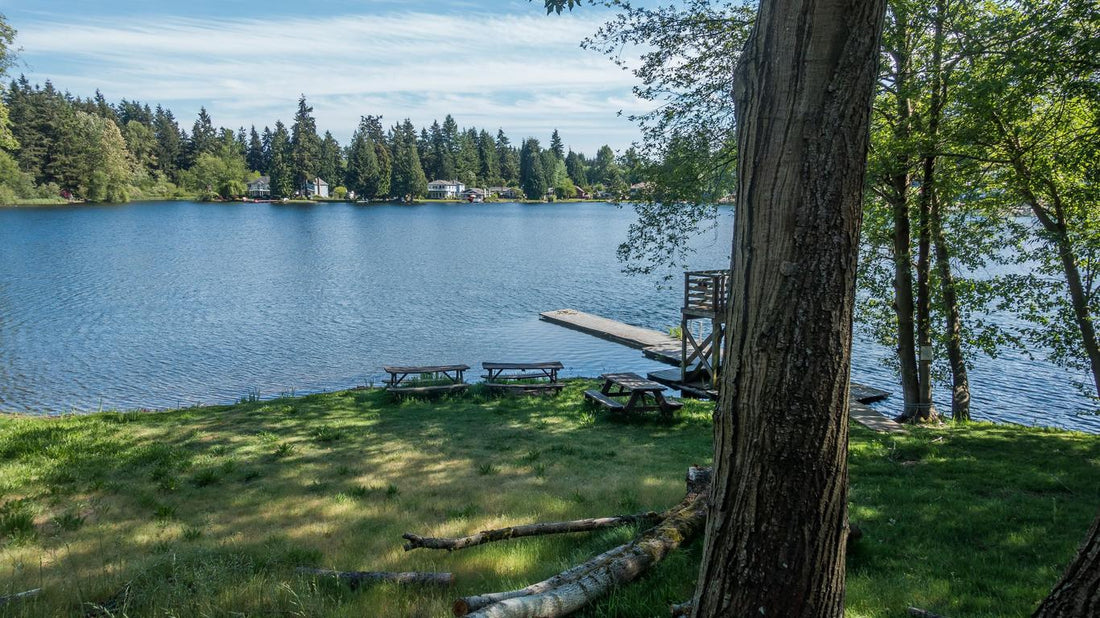 Top or Best TikTok Management Agencies and Companies in Federal Way, Washington