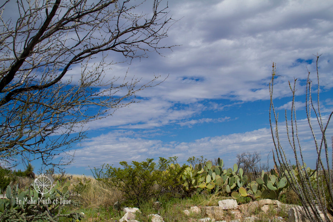 Top or Best Banner Ads Agencies and Companies in Artesia, New Mexico