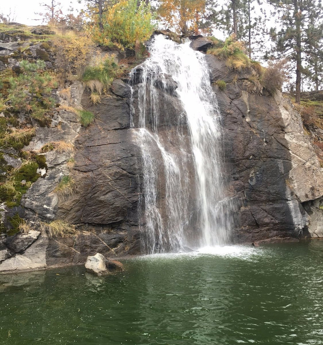 Top or Best Twitter Management Agencies and Companies in Spokane Valley Washington