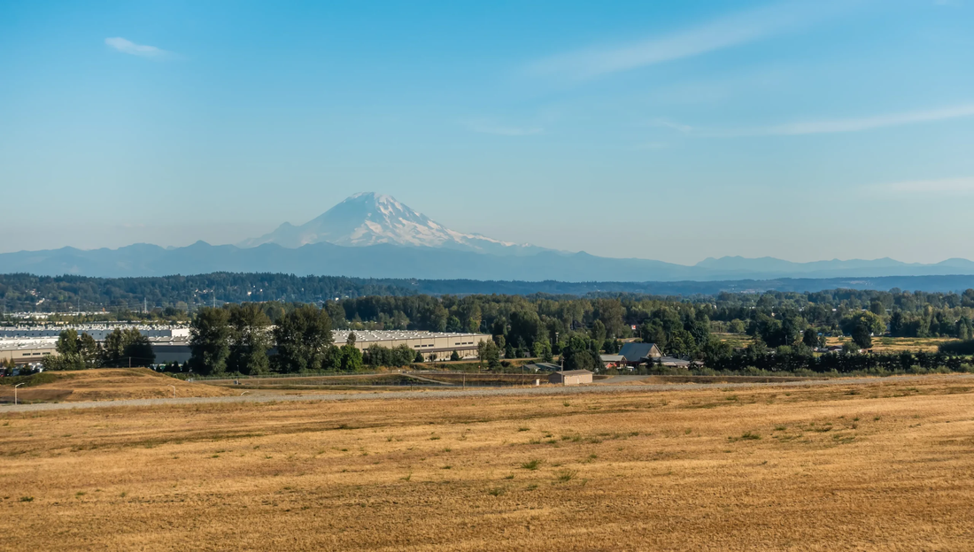 Top or Best Graphic Design Agencies and Companies in Kent, Washington