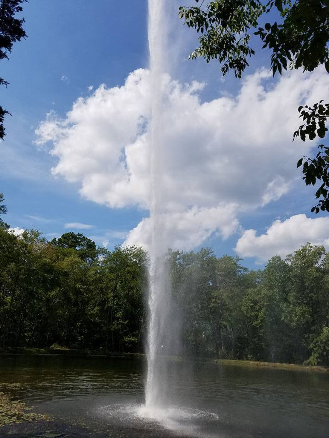 Top or Best Animation & Motion Graphics Agencies and Companies in Bensalem, Pennsylvania