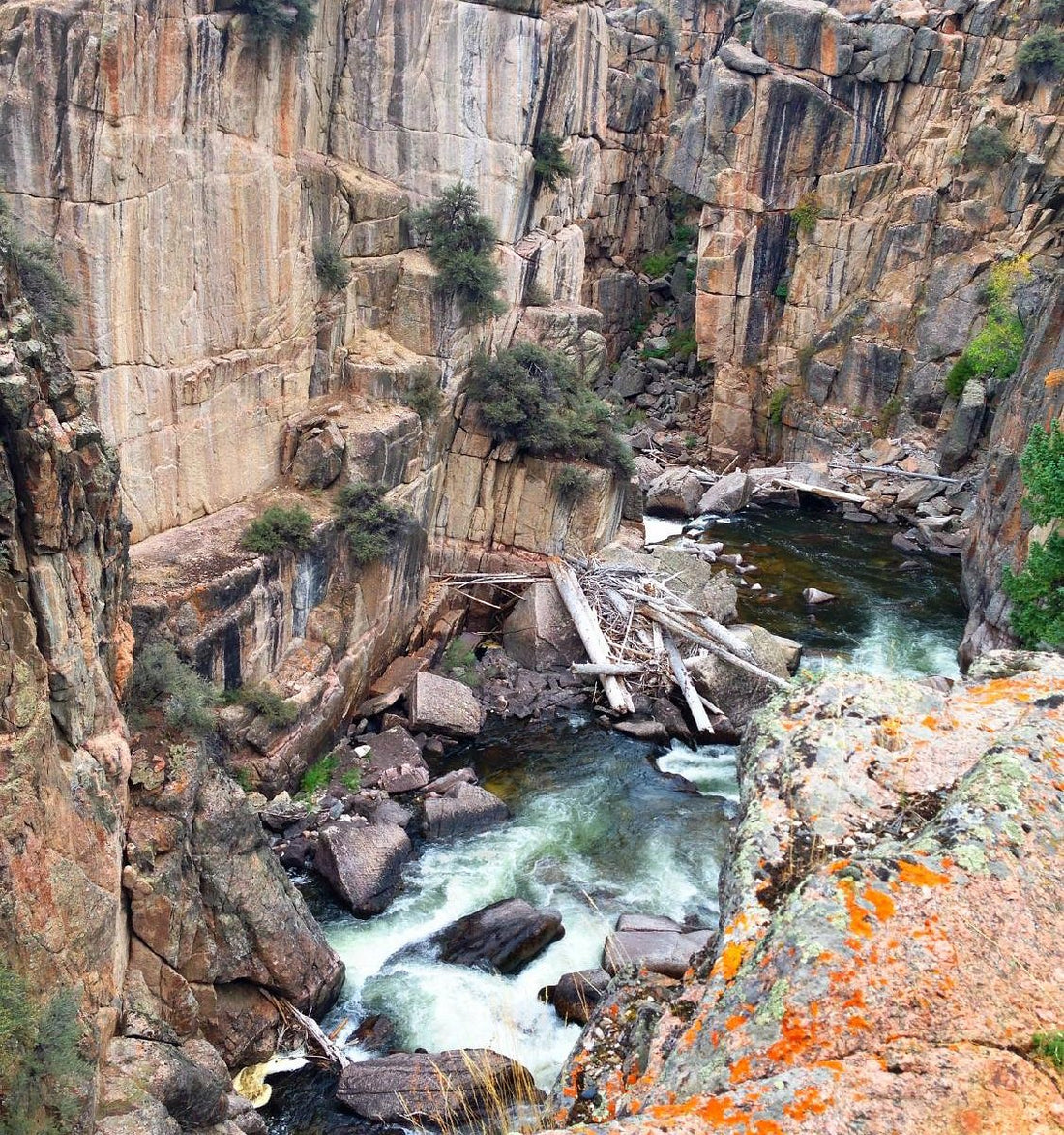 Top or Best Stationery Design Agencies and Companies in Sheridan, Wyoming