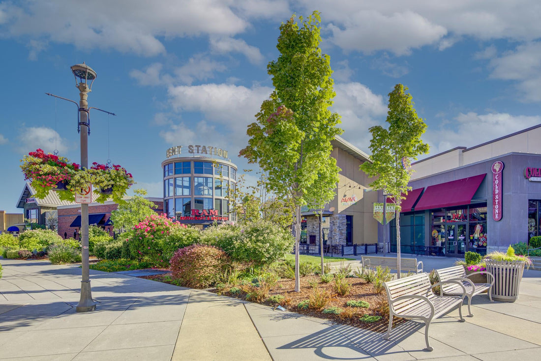 Top or Best Brand Identity Packages Agencies and Companies in Kent Washington