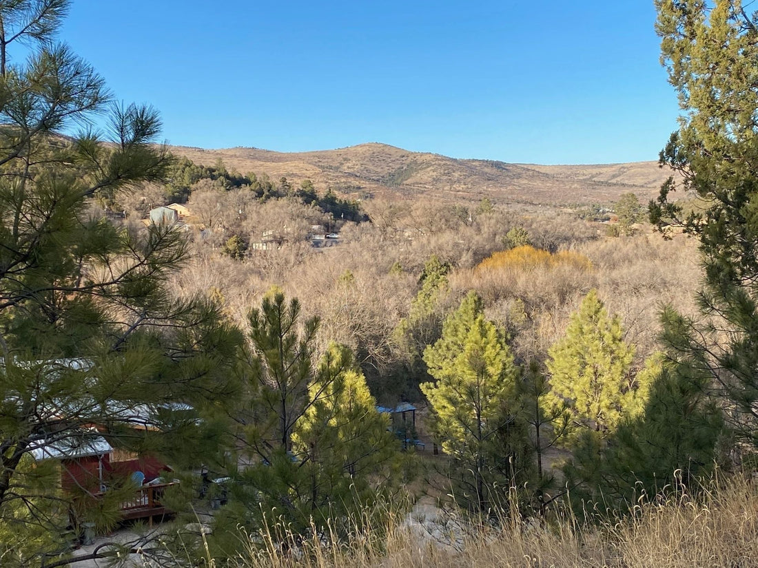 Top or Best Logo Animation Agencies and Companies in Artesia, New Mexico