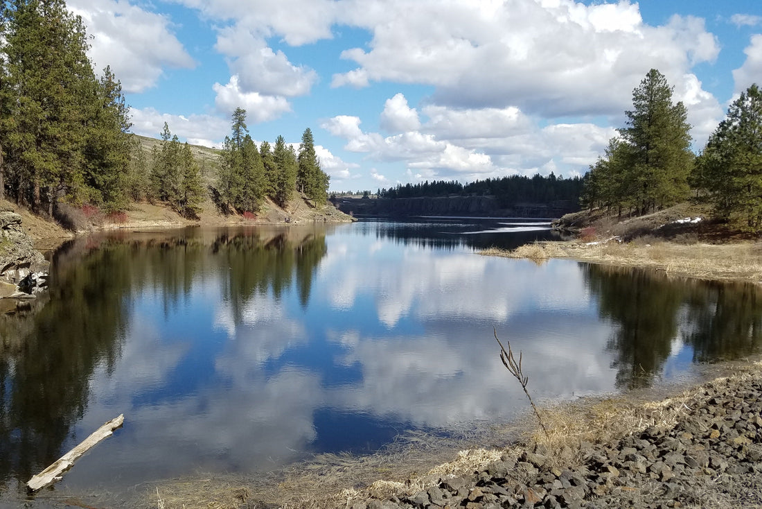 Top or Best Graphic Design Subscription Agencies and Companies in Spokane Valley, Washington