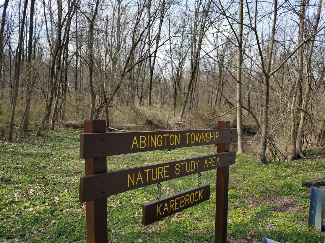 Top or Best Menu Design Agencies and Companies in Abington, Pennsylvania