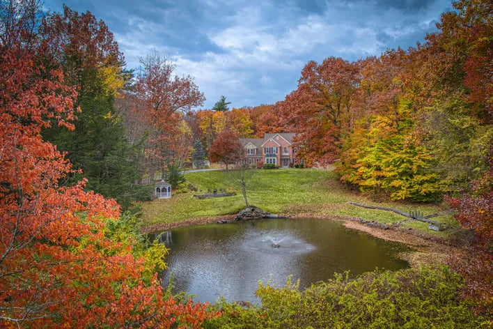 Top or Best Twitch Management Agencies and Companies in Bedford, New Hampshire