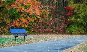 Top or Best Graphics for Streamers Agencies and Companies in Glasgow, Delaware