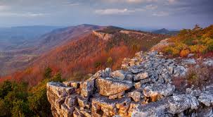 Top Cartoons and Comics Agencies in West Virginia