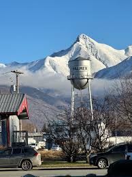 Top or Best Infographic Design Agencies and Companies in Palmer, Alaska