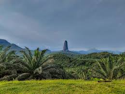 Top Direct Mail Design Agencies in Sao Tome and Principe