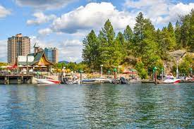 Top or Best TikTok Management Agencies and Companies in Eagle, Idaho