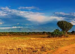 Top Virtual Background Design Agencies in Uganda