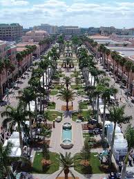 Top or Best Menu Design Agencies and Companies in Boca Raton, Florida