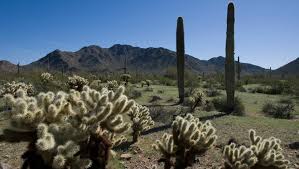 Top or Best Banner Ad Agencies and Companies in Casa Grande, Arizona