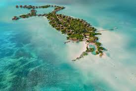 Top Custom Graphics for Videos Agencies in Belize