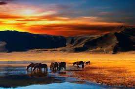 Top 5 Email Campaign Design Agencies in Mongolia