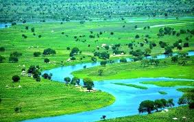 Top 5 AR Filters and Lenses Agencies in South Sudan: Leading the Way in Digital Innovation