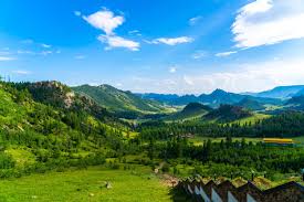 Top 5 Poster Design Agencies in Mongolia