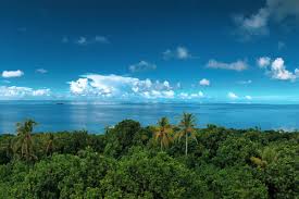 The Top Mural Design Agencies in Micronesia