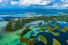 Top 5 Brochure Design Agencies in Palau
