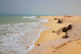 Top Photography and Photo Editing Agencies in Mauritania