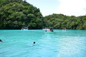 Top 5 Postcard Design Agencies in Micronesia