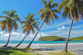 Top 5 Social Media Design Agencies in Grenada