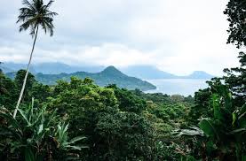 Top Invitation Design Agencies in Sao Tome and Principe