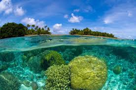 Top Catalog Design Agencies in Marshall Islands