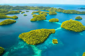 Top 5 Catalog Design Agencies in Palau