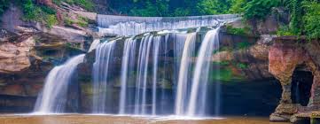 Top and Best Graphic Design Subscription Services in Elyria, Ohio