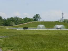 Top or Best Social Media Design Agencies and Companies in Glasgow, Delaware