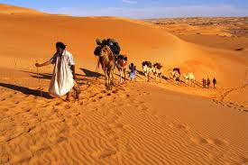 Top 5 Animation and Motion Graphics Agencies in Mauritania