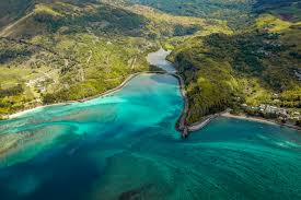 Top 5 Virtual Background Design Agencies in Mauritius: Leading the Way in Creative Digital Solutions