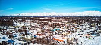 Top or Best Cartoons and Comics Agencies and Companies in Palmer, Alaska