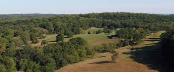 Top or Best Storyboard Agencies and Companies in Glasgow, Delaware