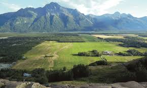 Top or Best Invitation Design Agencies and Companies in Palmer, Alaska