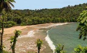 Top Custom Graphics for Videos Agencies in Sao Tome and Principe