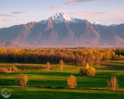 Top or Best Catalog Design Agencies and Companies in Palmer, Alaska