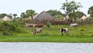 Top Brochure Design Agencies in South Sudan: Leading the Way in Creative Marketing