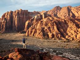 Top and Best Twitch Management Agencies and Companies in St. George, Utah