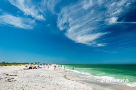 Top or Best Menu Design Agencies and Companies in Cape Coral, Florida