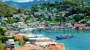 Top 5 Infographic Design Agencies in Grenada